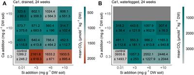 The importance of calcium and amorphous silica for arctic soil CO2 production